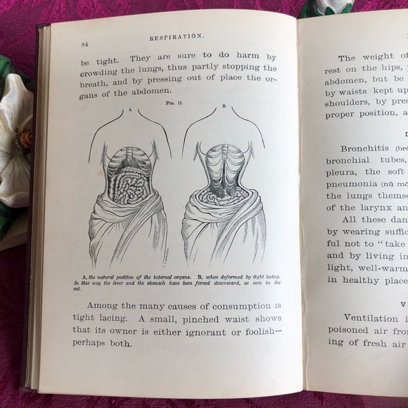 1888 Antique Book: Physiology for Young People Adapted to Intermediate Classes - Picture 7 of 10